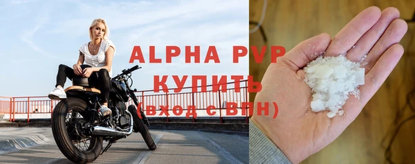 прущие грибы Балабаново
