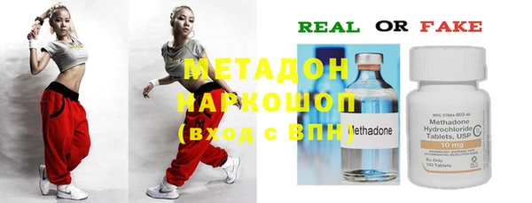 прущие грибы Балабаново