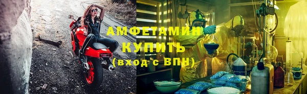 прущие грибы Балабаново