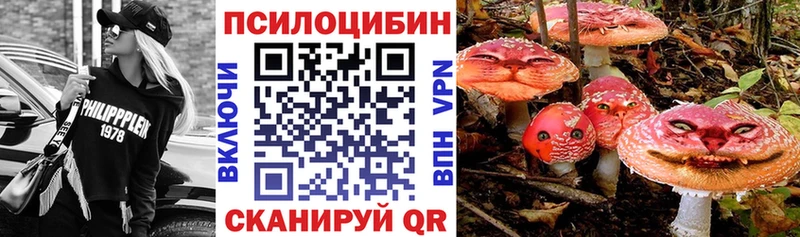 Псилоцибиновые грибы Psilocybine cubensis  где можно купить наркотик  Буинск 